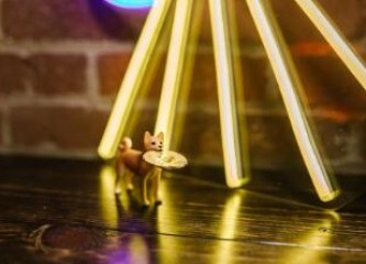 世界虚拟币排行榜前十名 全球虚拟币排行榜TOP10